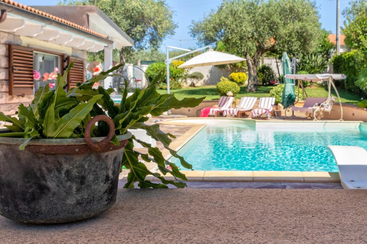 Villa Sunflower อาลเกโร ภายนอก รูปภาพ